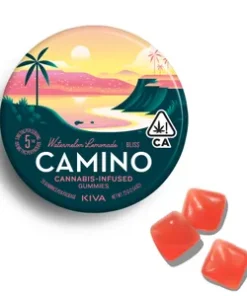 Camino Watermelon Lemonade Bliss Gummies