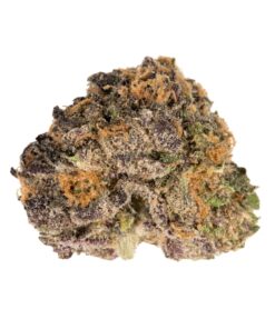 Purple Urkle