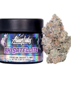 BK Satellite (Indoor)