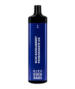 BLUE RAZZLEBERRY POMEGRANATE ICE ESCO BAR MEGA