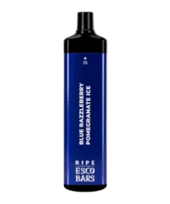 BLUE RAZZLEBERRY POMEGRANATE ICE ESCO BAR MEGA