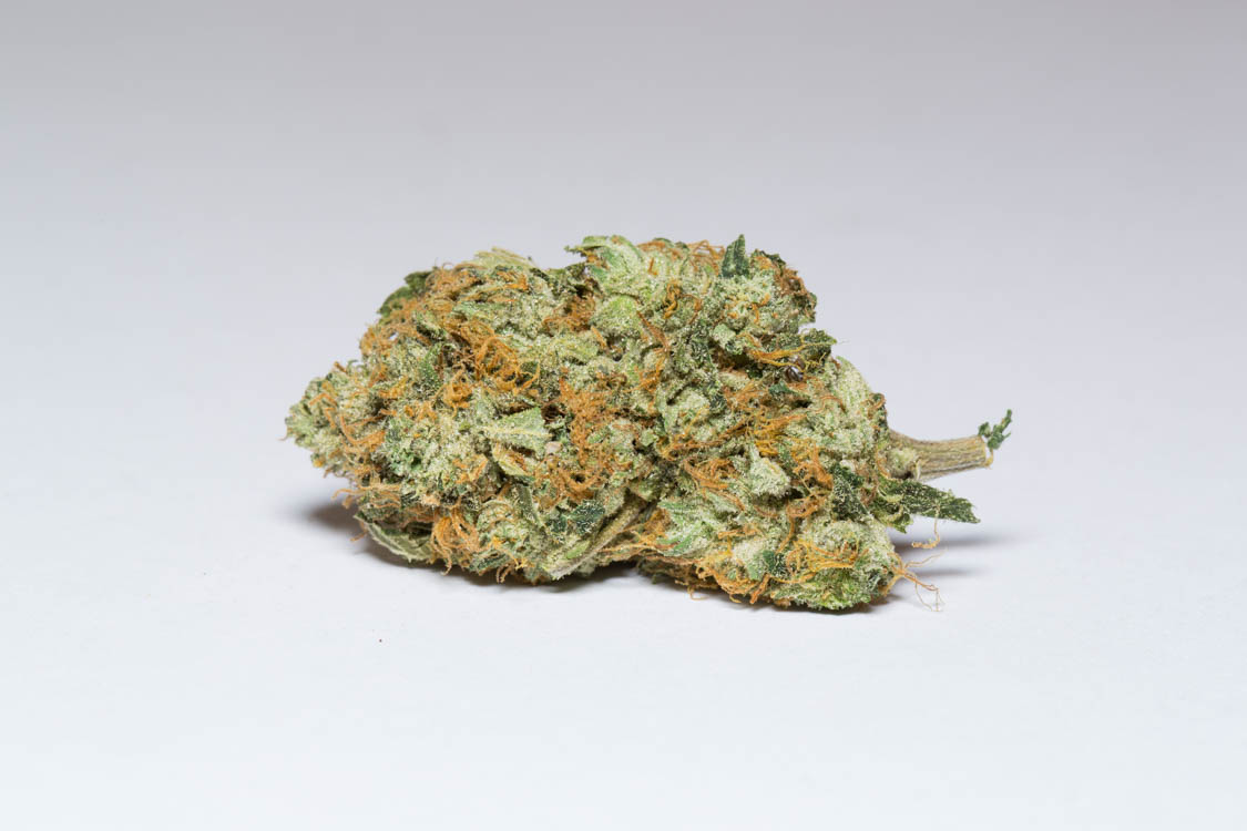 Gorilla-Glue-4-j25-1.jpg