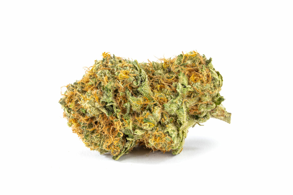 Gorilla-Glue-5-Strain.jpg