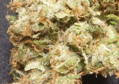 Lemon-Kush-Strain-Closeup-400x284-1.jpg