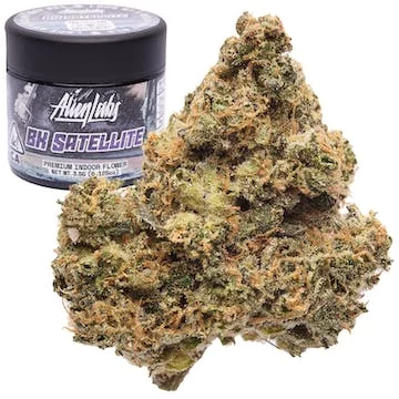 a23b8148-5ceb-430b-affe-0a199fcc8582