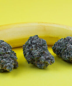 Chiquita banana strain