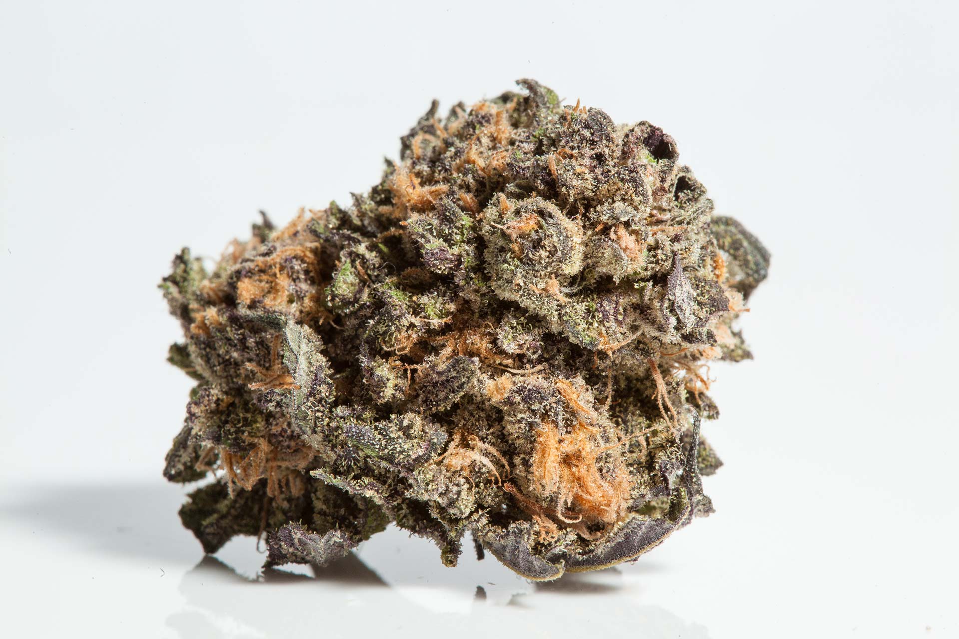 lightshade-grandaddy-purps-strain-1.jpg