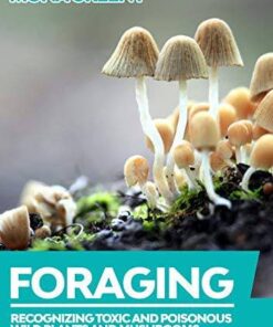 FORAGING