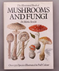 Mushrooms and Fungi